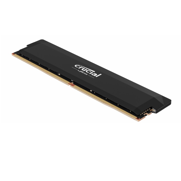 Crucial - CP32G56C46U5 - התמונה להמחשה בלבד