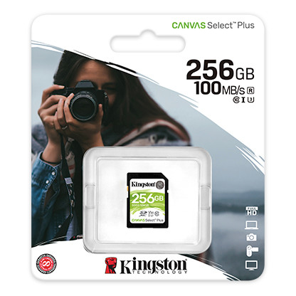 Kingston - SDS2-256GB - התמונה להמחשה בלבד